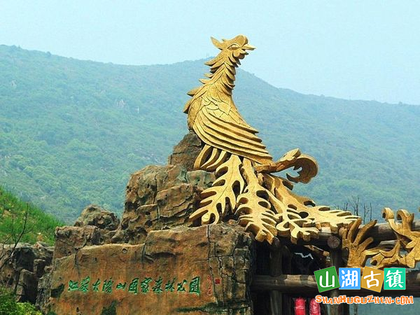 大阳山国家森林公园：大阳山高揽胜景，森林氧吧润身心