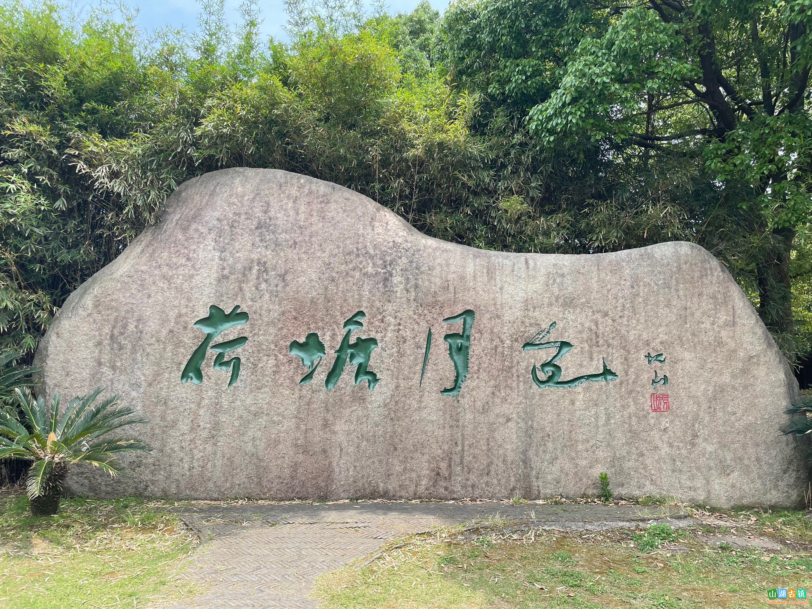 荷塘月色湿地公园：荷塘月色映清辉，千亩荷花醉盛夏