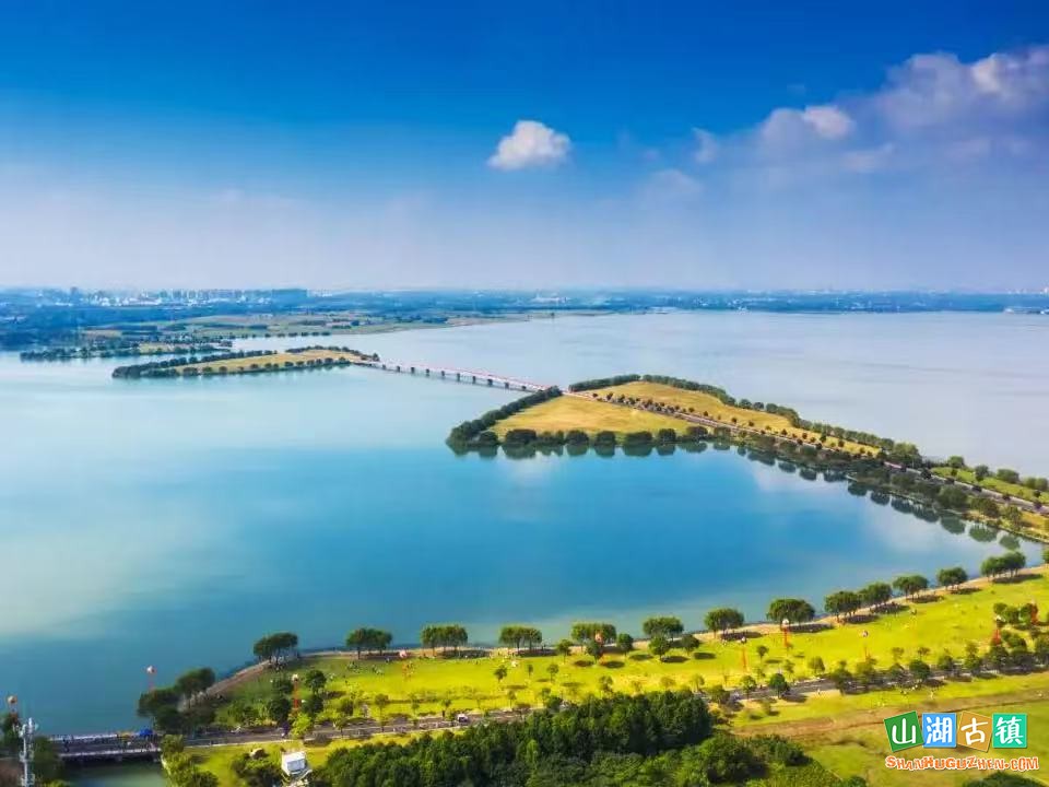 漕湖湿地公园：漕湖湿地栖飞鸟，湖光苇荡享野趣