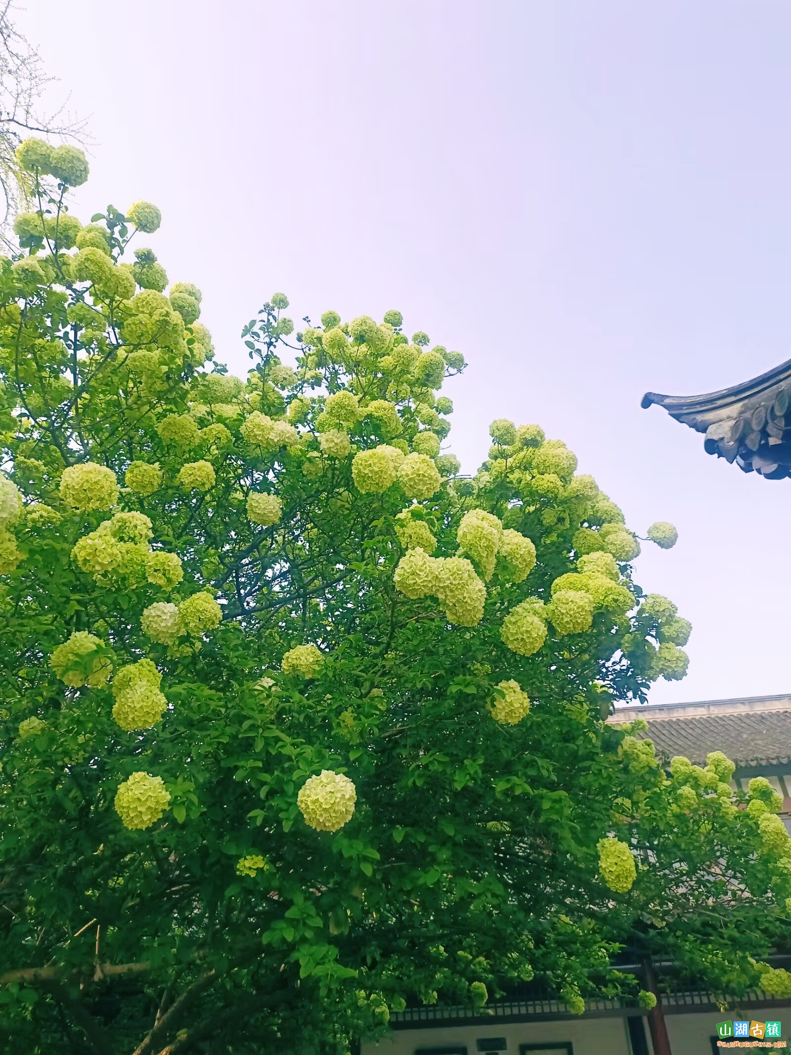 b8b1e69da411416b820d7d0e9c9e8627~tplv-obj_1600_2132.jpg