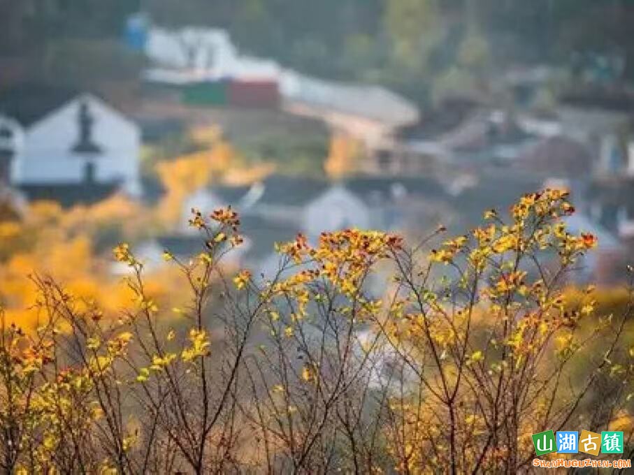 d61053fe19fe876876bbb052290f27be.jpg