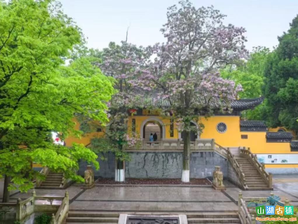 dc4c26279652dd4ead926de81f4b9107.jpg